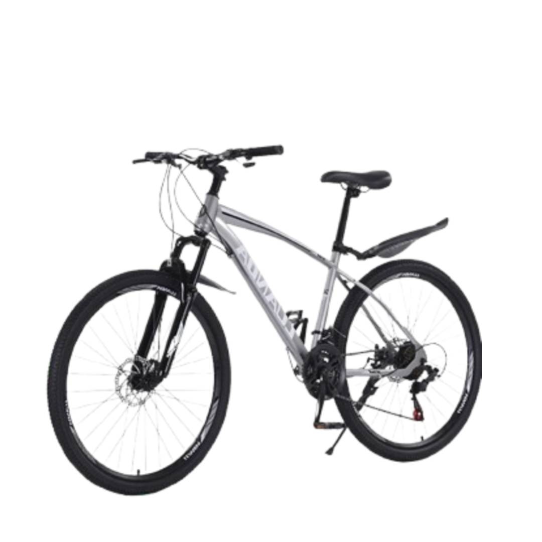 Alloy Mountain Bike 1
