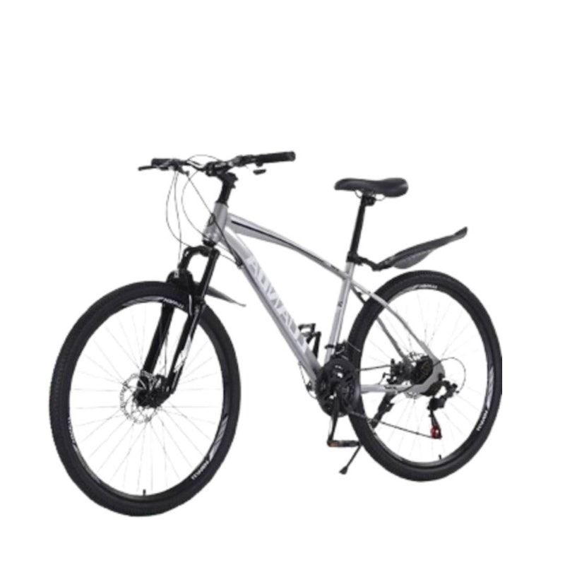 Alloy Mountain Bike 1