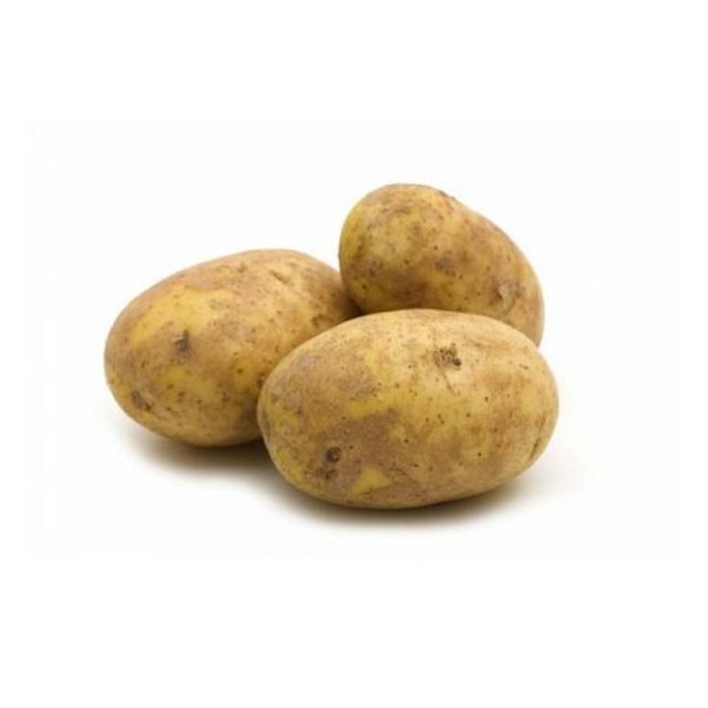 Large Potato 1