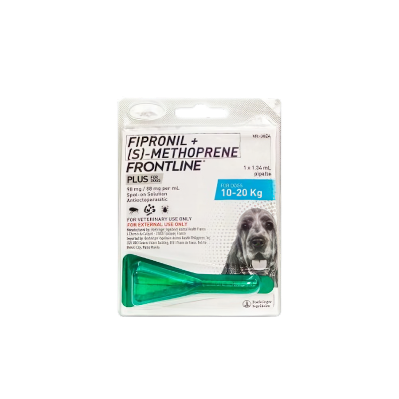 Plus For Dogs 1