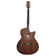 Fernando OF-SAPELE Acoustic Guitar 1
