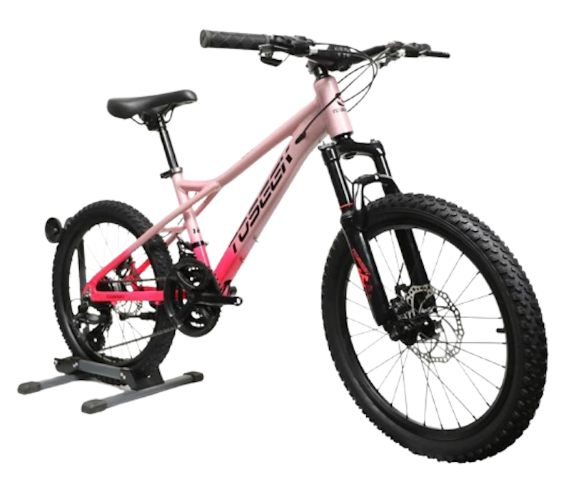 Alloy Mountain Bike Junior 20" 1