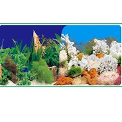 Realistic Colorful Aquarium Background Wallpaper