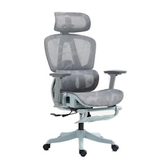 Ergonomic Chair