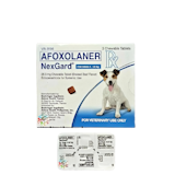 10 Best Anti-Flea and Tick for Dogs in the Philippines 2026 | Buying Guide Reviewed by Veterinarian 1