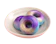 Soak Artisan Donut Bath Bomb 1