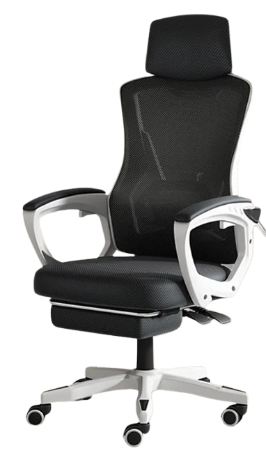 Ergonomic Recliner Chair	  1