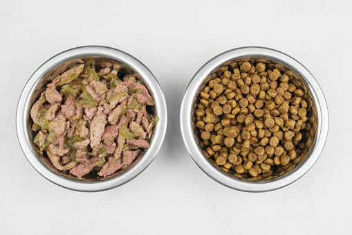Look for Adjustable Portion Control to Support Healthy Feeding Habits