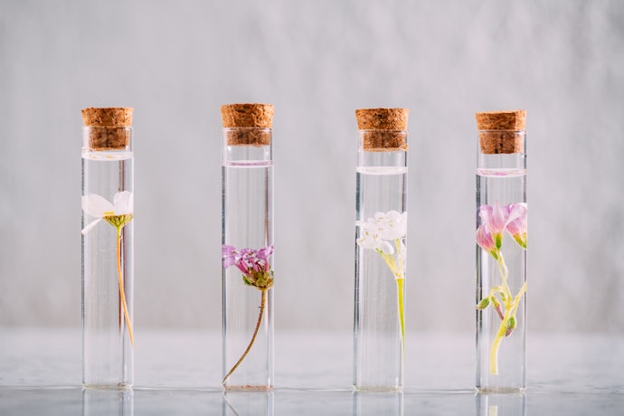 Avoid Potential Irritants Such As Added Fragrances, Alcohols, and Sulfates