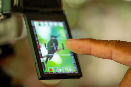 Choose a Camera With Reliable Autofocus and Image Stabilization