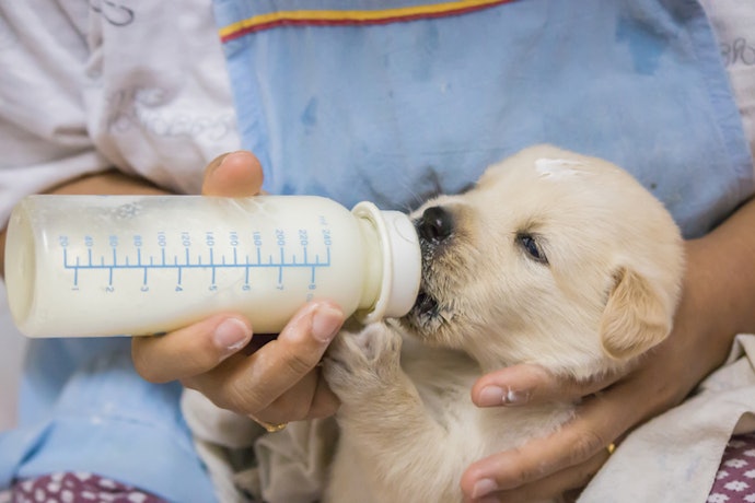 Follow Safe Feeding Practices