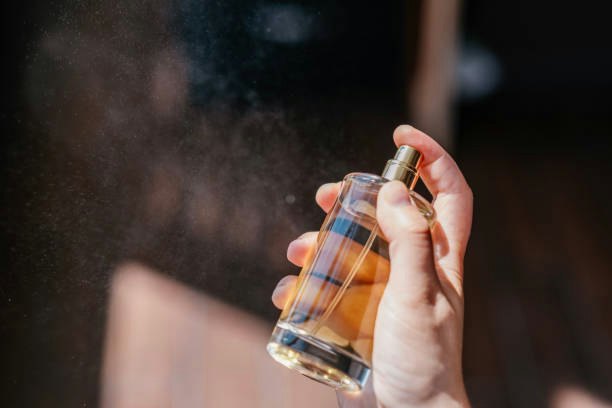 Opt for an Affordable EDP for Longer Wear or EDT for Everyday Value