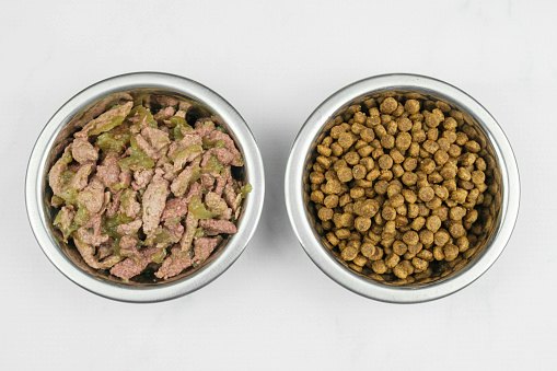 Look for Adjustable Portion Control to Support Healthy Feeding Habits