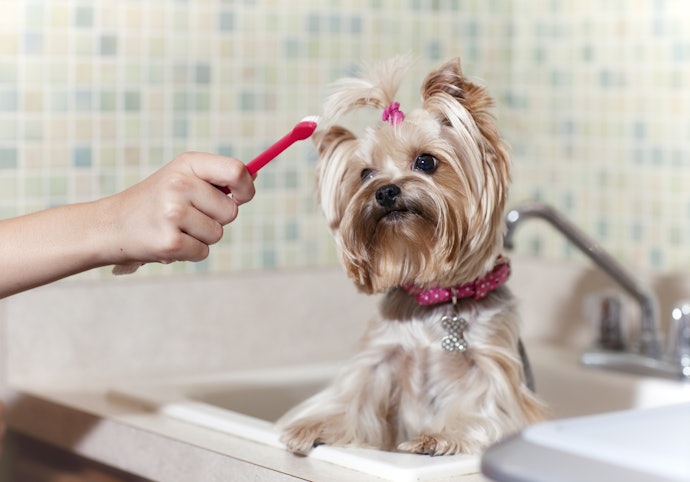 Opt for Non-Foaming Kinds of Toothpaste for Easy Brushing