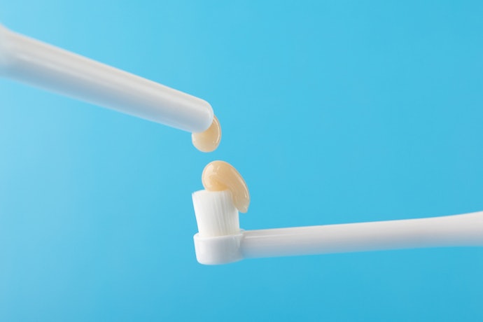 Go for Soft Nylon Bristles to Protect Your Dog’s Gums