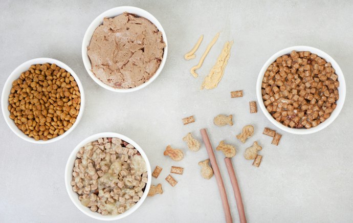 Pick the Right Wet Cat Food Texture if Your Pet Is a Picky Eater