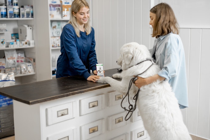 Invest in Dog Vitamins from a Reputable and Trusted Brand