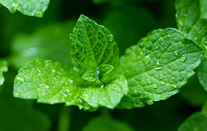Consider Eye Drops With Menthol if You Want a Refreshing, Cooling Sensation