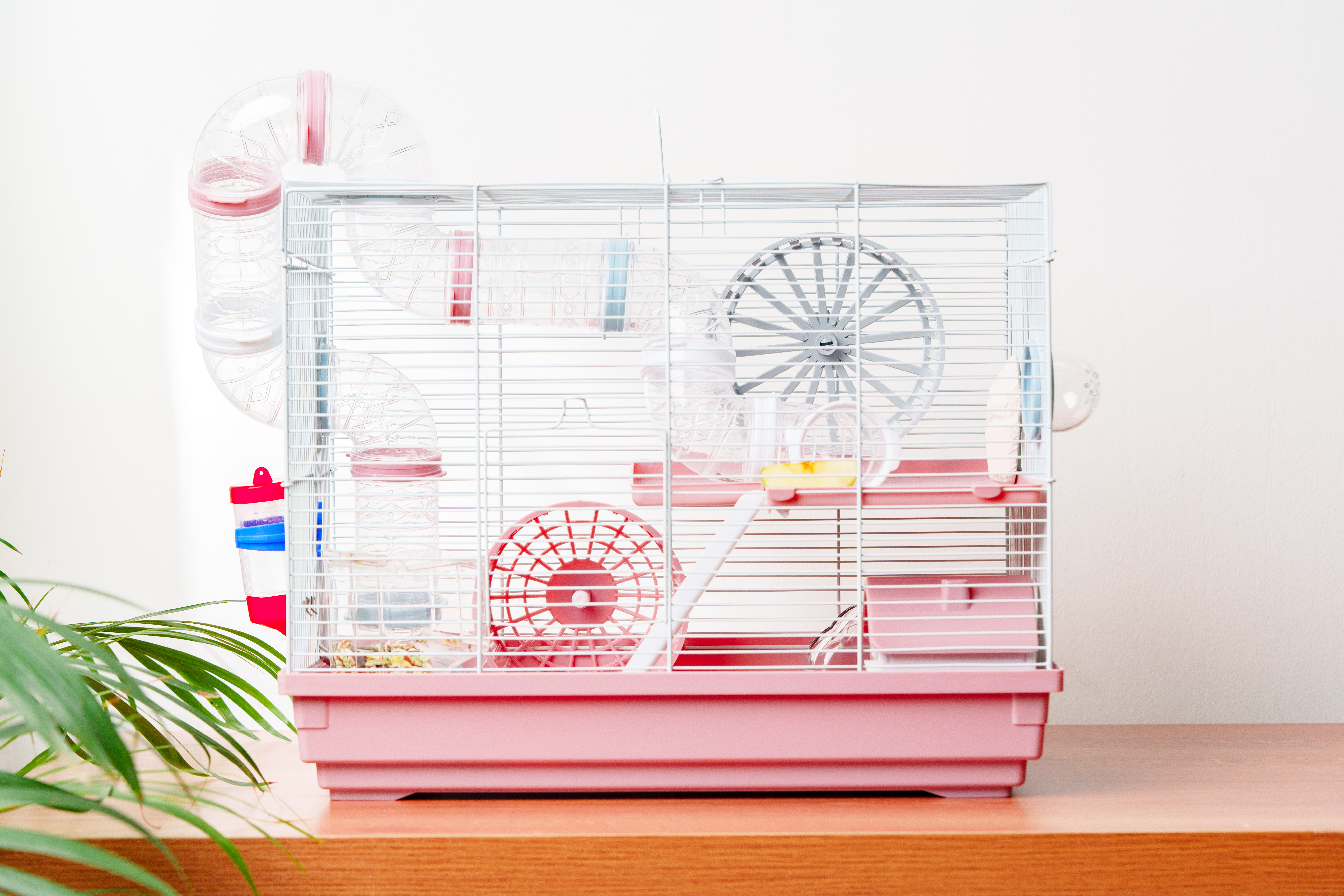 10 Best Hamster Cages in the Philippines 2026 | mybest