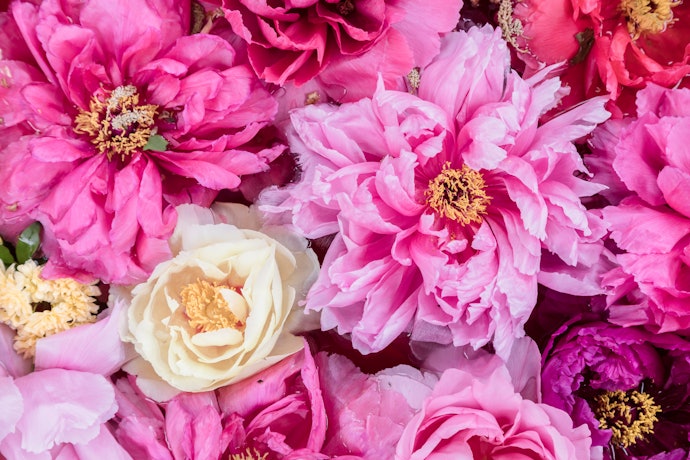 Choose a Conditioner Made From Biodegradable Ingredients to Lessen Environmental Damage