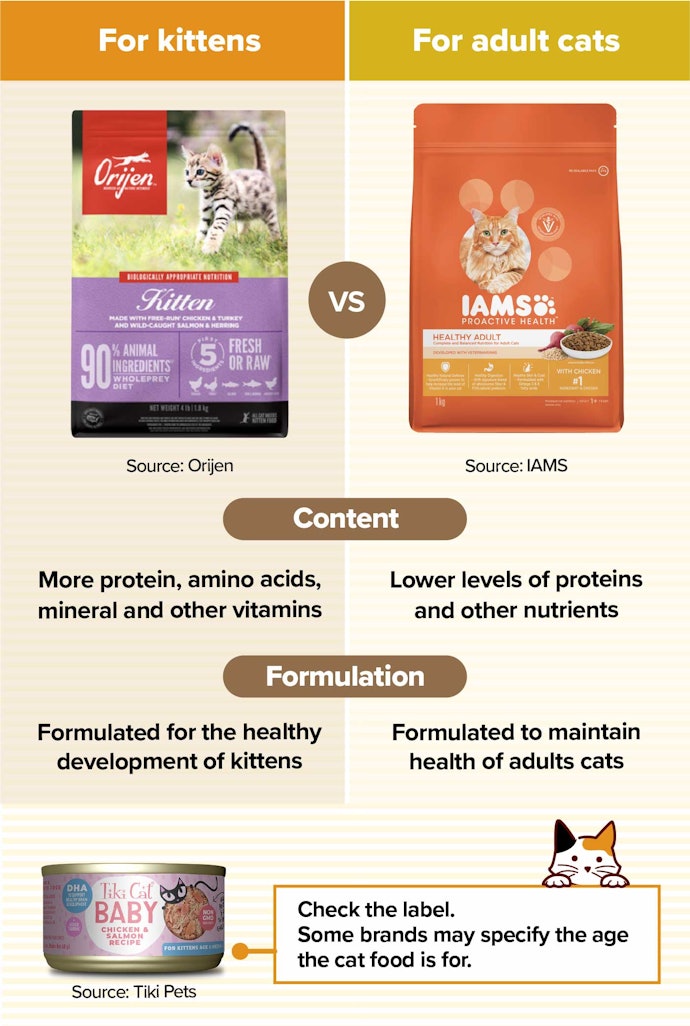 Pick a Food Labeled Specifically for Kitten