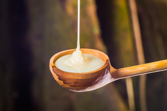 Opt for Vegan-Friendly Condensed Milk If You’re Avoiding Dairy