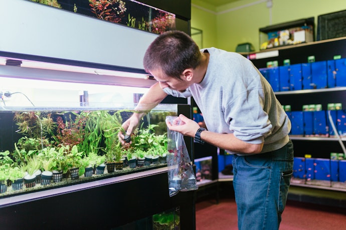 Make Sure the Pump Is Compatible With Freshwater or Saltwater Tanks