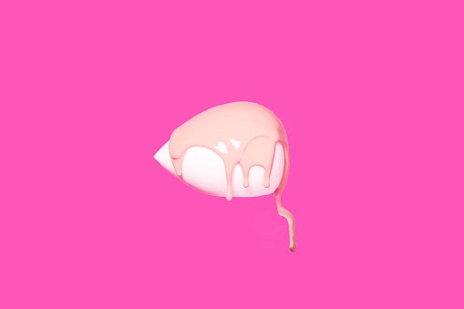 Pay Attention to Its Porousness to Ensure Seamless Makeup Application