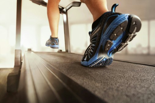 Check for EVA or High-Rebound Foam Cushioning for Reliable Shock and Impact Absorption