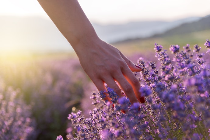 Synthetic or Natural: Check for Added Fragrances