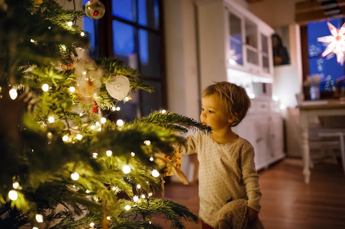 Make It Merry and Bright with Christmas Lights