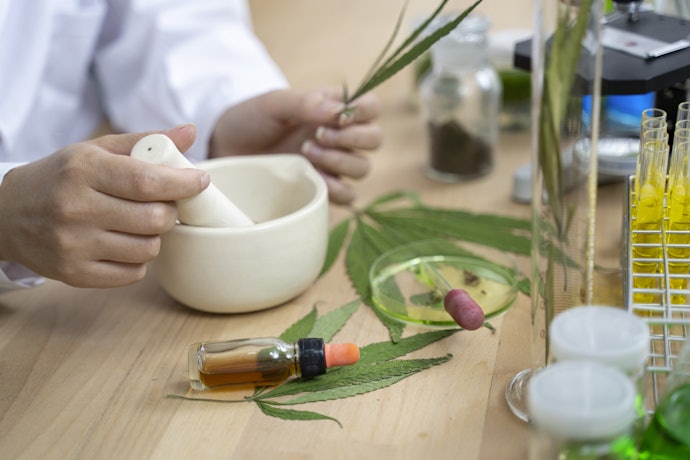 Consider a Natural Freshener to Avoid Health Risks