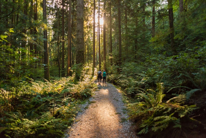 Hiking Helps You Connect With Nature