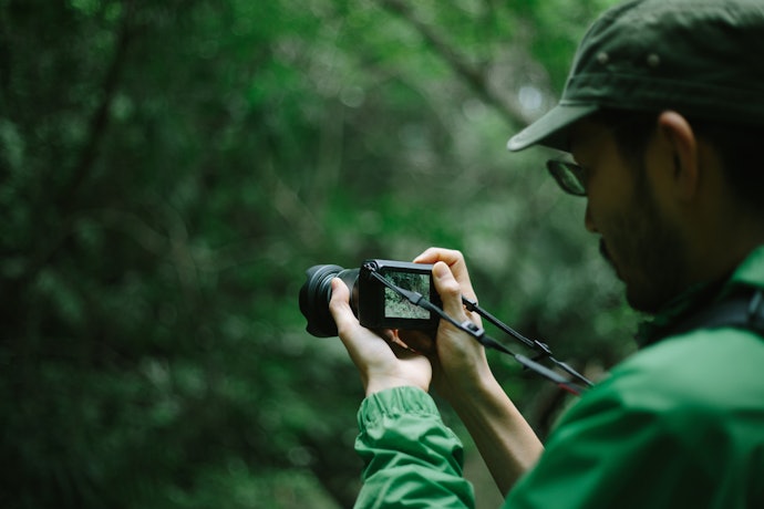 Consider Image Stabilization (IS) to Avoid Blurry Images
