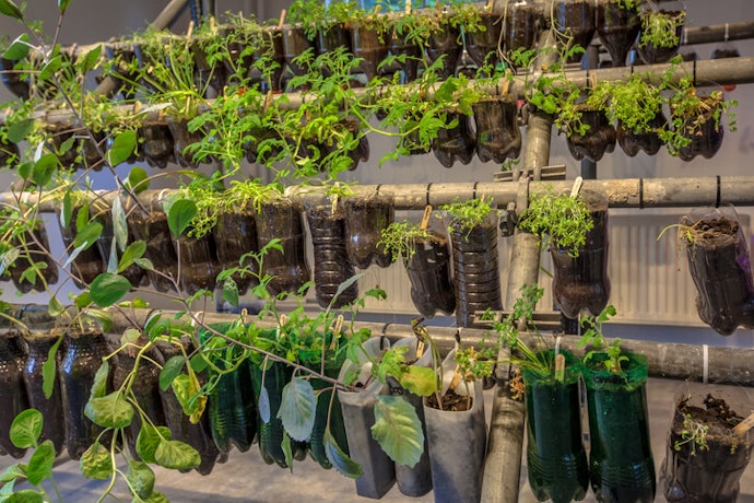 See How Much Space You Have and Need to Grow the Plants