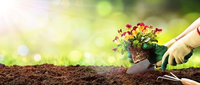 Consider the Type of Soil