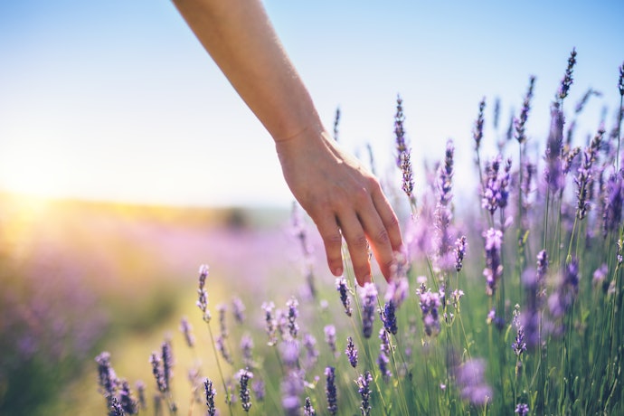 Select the Type of Scent You Want