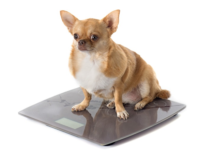 Get a Scale With Measurements You Are Familiar With