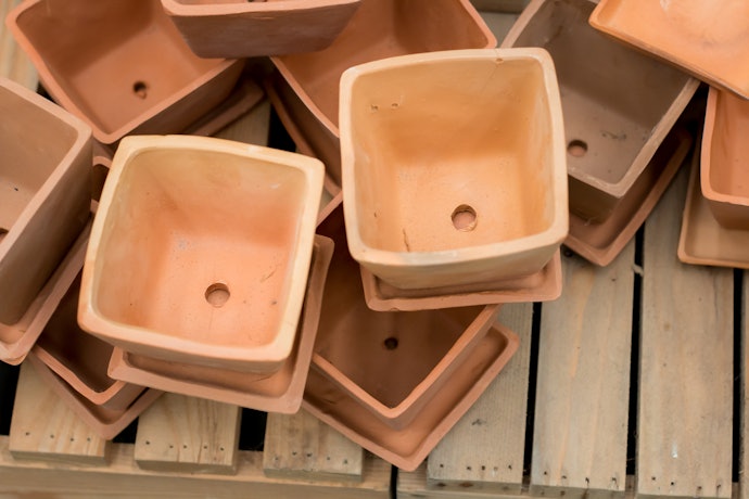 Select a Pot With a Drainage Hole