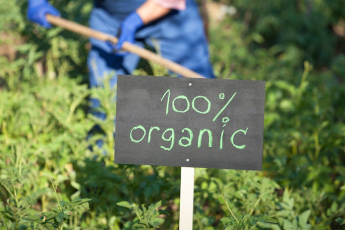 Prioritize Organic and Chemical-Free Options to Protect Your Cat’s Health