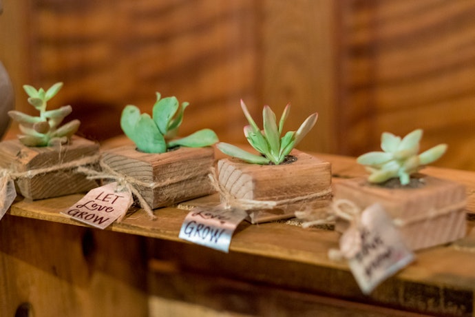 Choose Practical Souvenirs Guests Can Use or Display