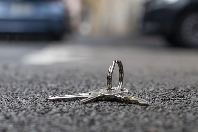 If You Have Recently Lost Your Keys