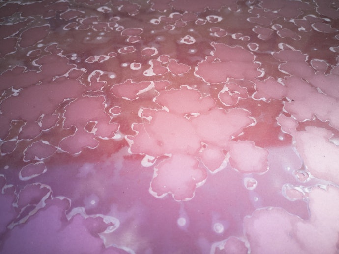 Study the Additives of the Car Wax