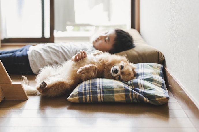 Prioritize Safety If You Have Pets or Children