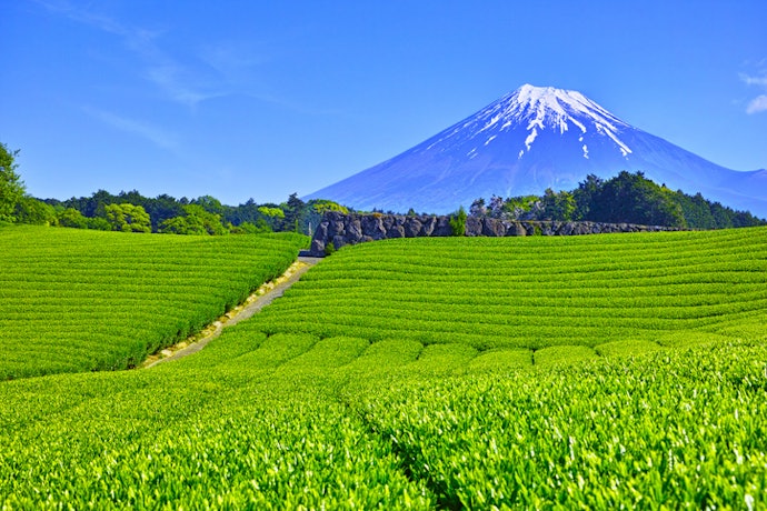 If You Prioritize Authentic Flavor and Quality, Look for Matcha Sourced From Japan