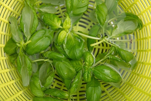 Pick a Salad Spinner That Is Easy to Clean