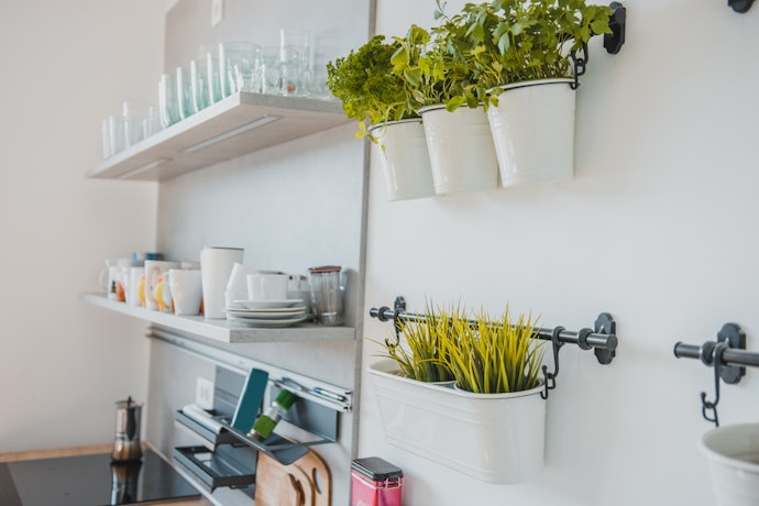 Consider the Size of Your Wall Planters