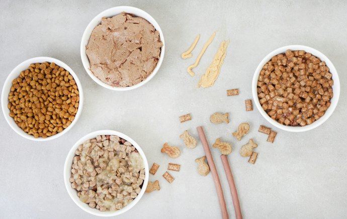 Pick the Right Wet Cat Food Texture if Your Pet Is a Picky Eater