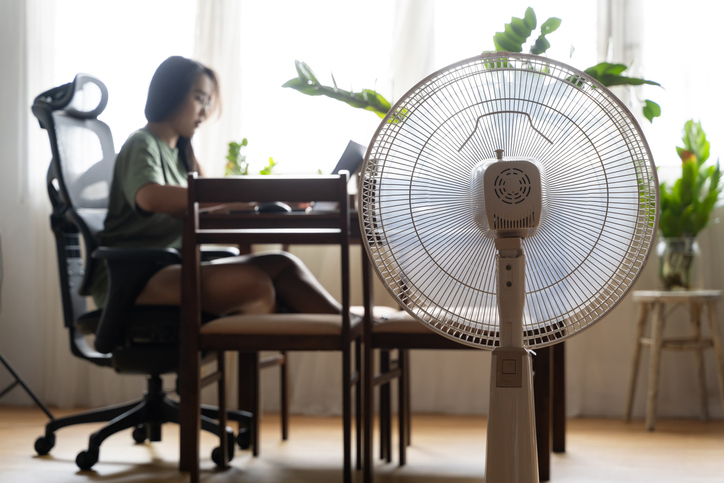 10 Best Inverter Electric Fans in the Philippines 2026 | Panasonic ...