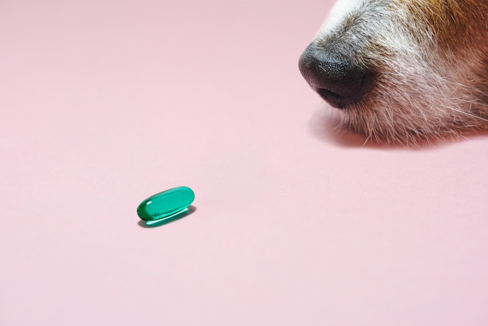 Look for Products That Also Target Worms for All-in-One Protection